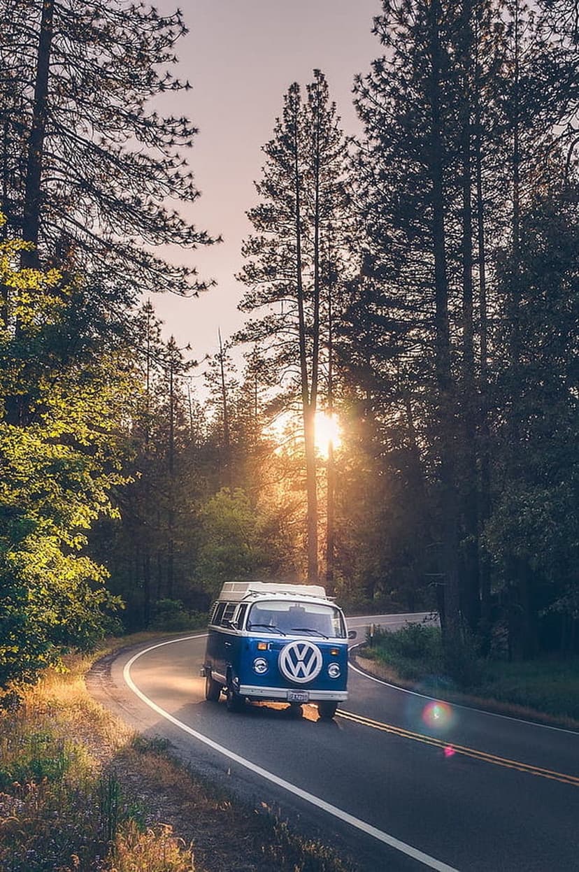 Blue Volkswagen bus with a pop-top roof drives along a winding forest road illuminated by golden sunbeams.