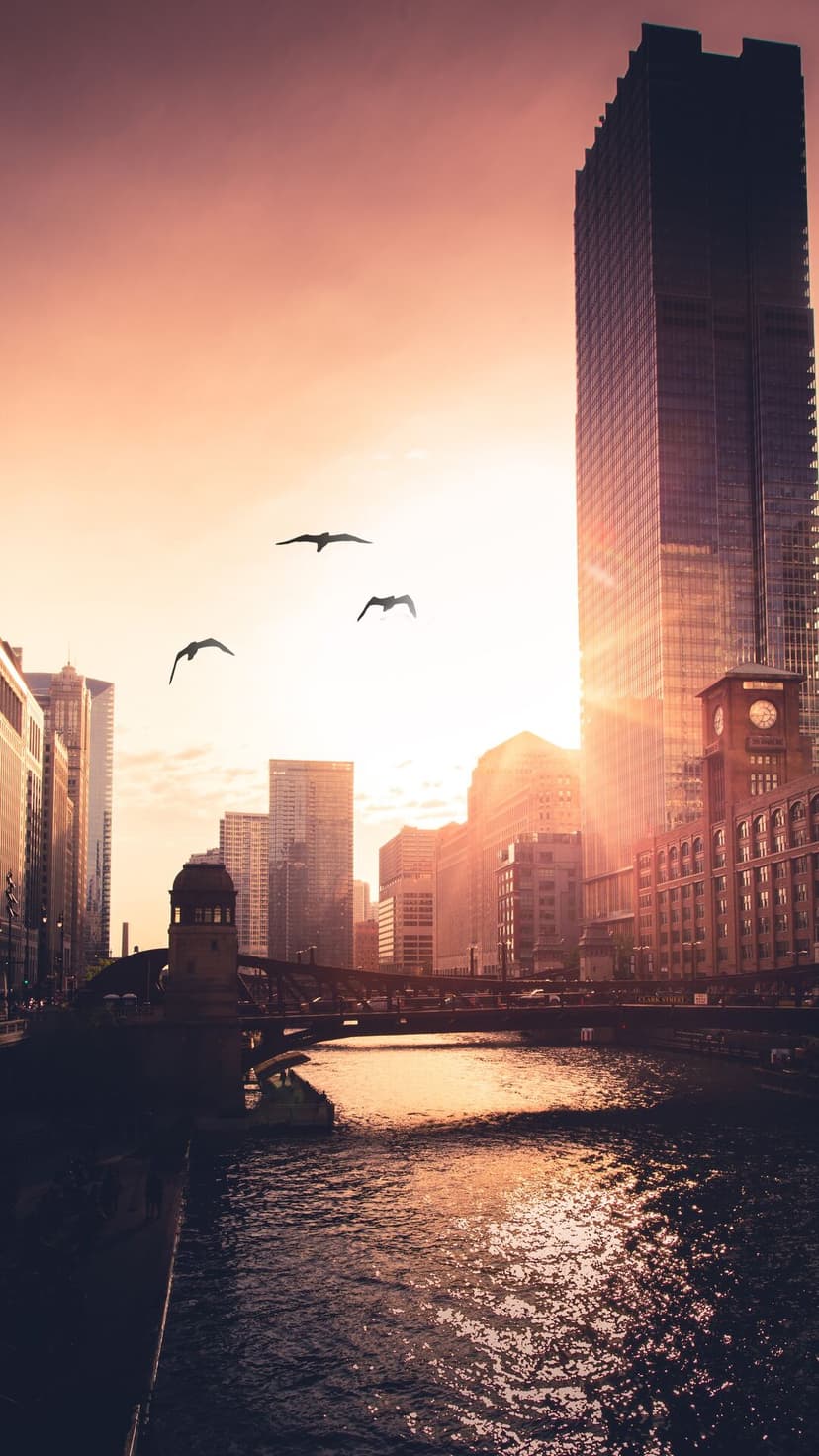 Modern skyscrapers flank a glowing river at sunset as three birds fly through a radiant amber and orange sky.
