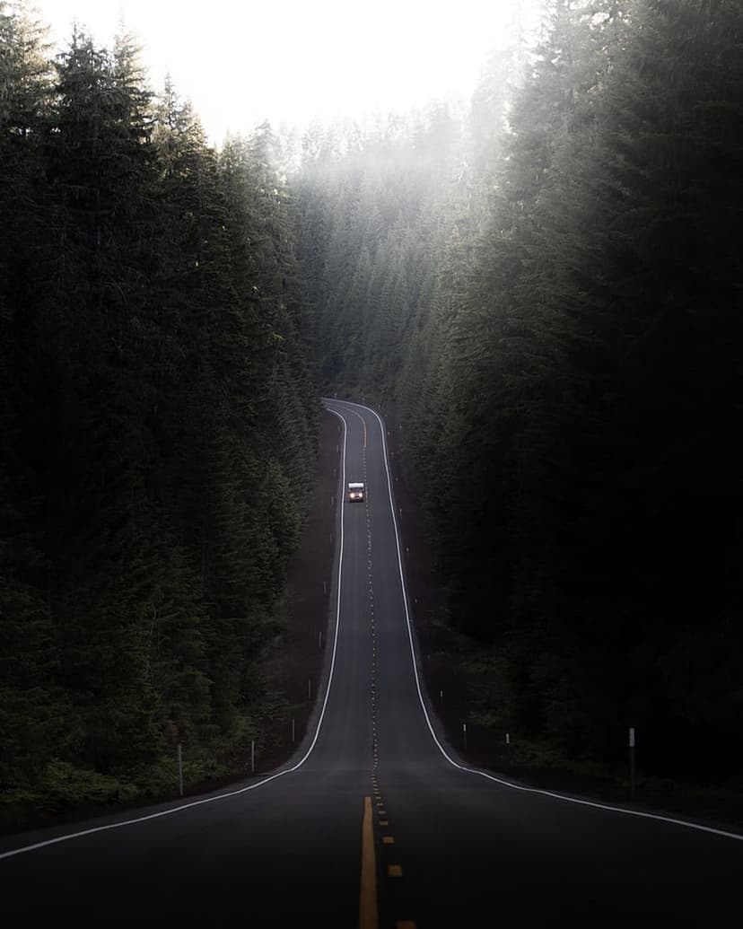 Black car drives on a winding asphalt road through a misty evergreen forest with bright golden sunbeams.