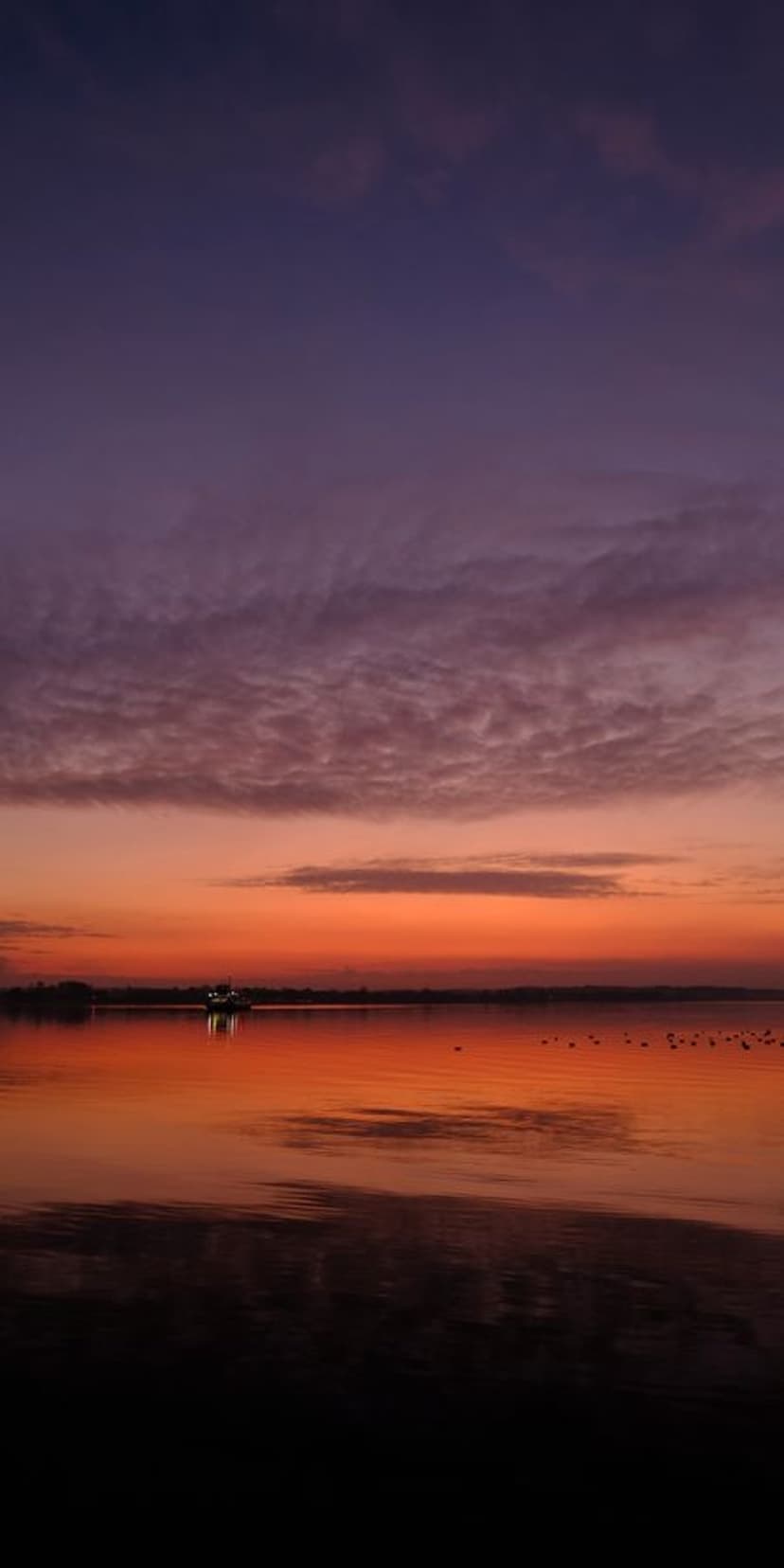 Orange sunset sky reflects onto a still lake surface featuring small bird silhouettes on a distant horizon line.