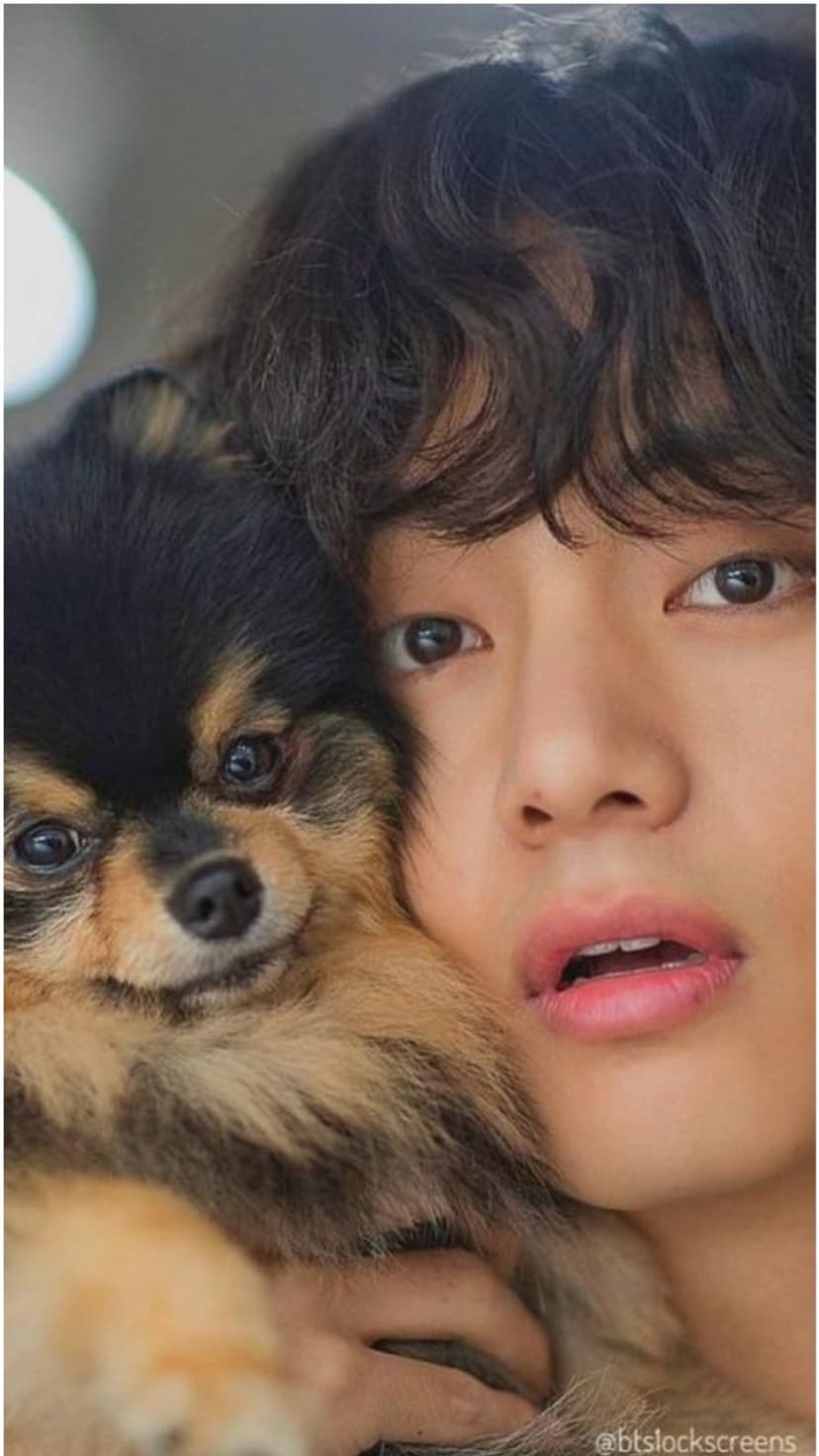 Kim Taehyung of BTS rests his face against a small fluffy Pomeranian dog in a warm, close-up vertical portrait.
