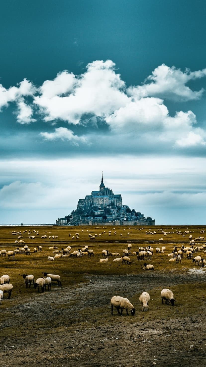 White sheep graze in golden fields with the medieval abbey of Mont Saint-Michel silhouetted against a cloudy sky.