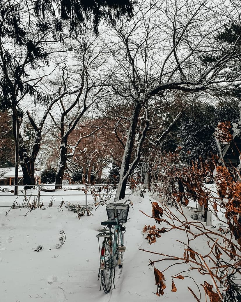 Bicycle parked in deep snow under bare tree branches against a cloudy winter sky in a quiet outdoor setting.