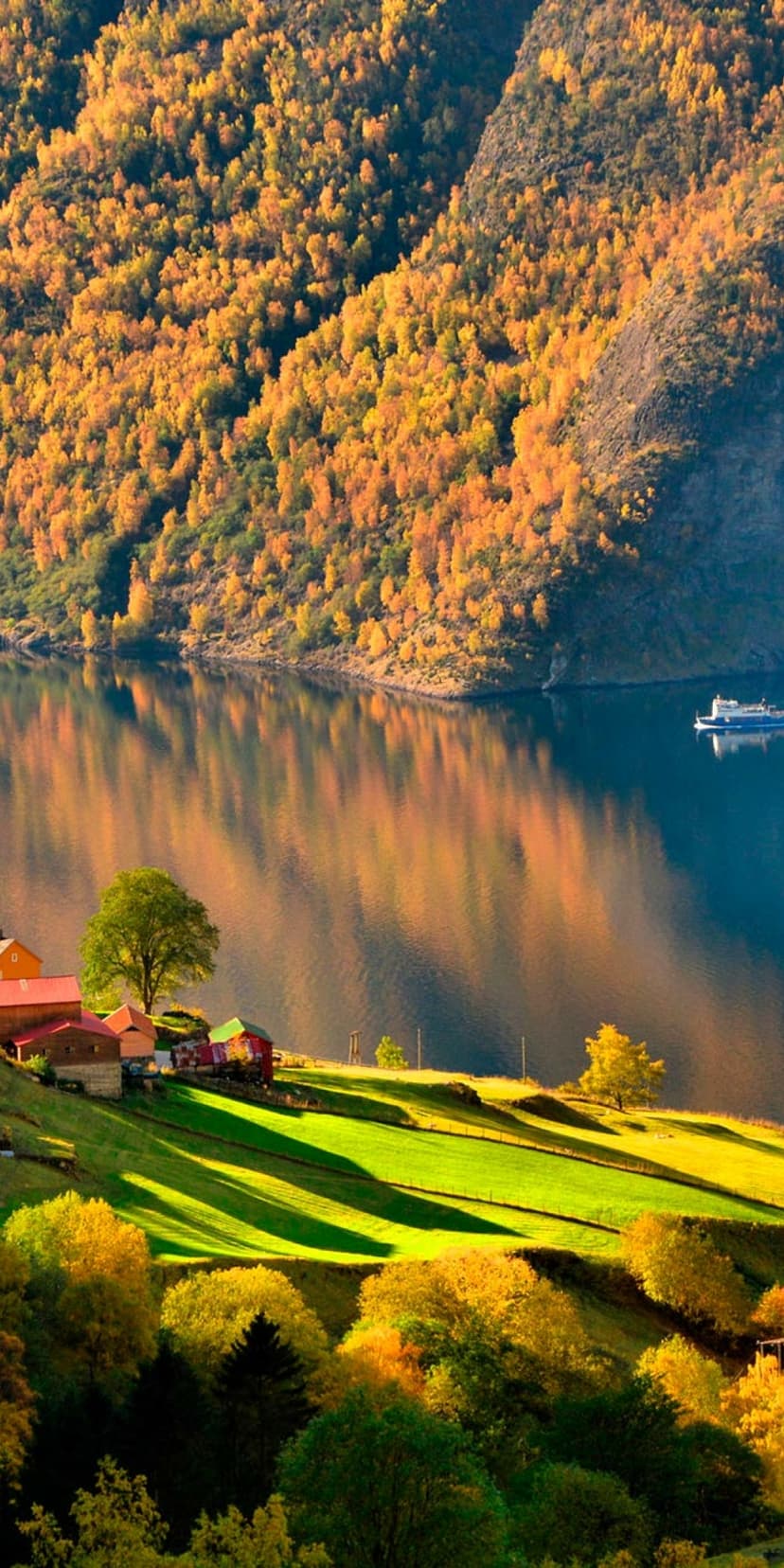 A small white boat glides across a reflective fjord surrounded by orange autumn trees and towering mountains.