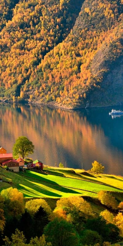 Fjordland's Autumnal Embrace- A Serene Voyage