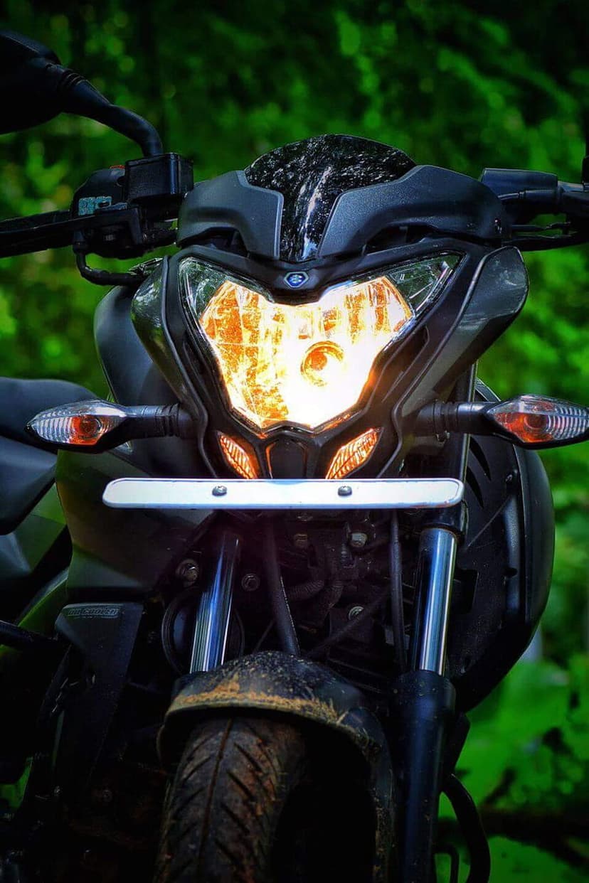Bajaj Pulsar NS200 headlight glows orange between dark fairings with green leaves in the blurred background.