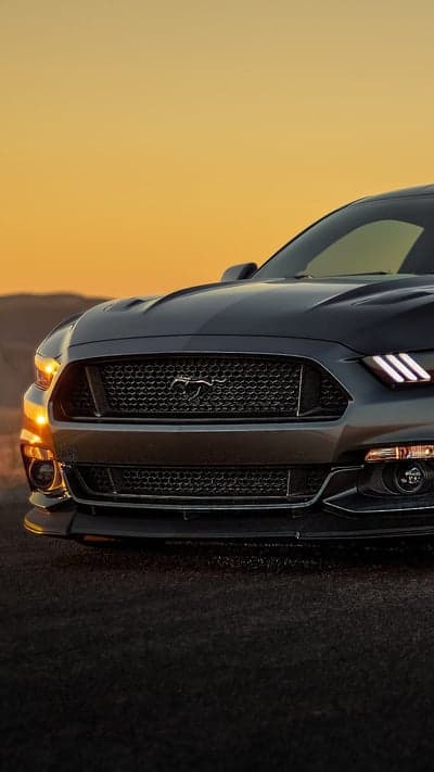 Ford Mustang Grille and Headlights at Sunset