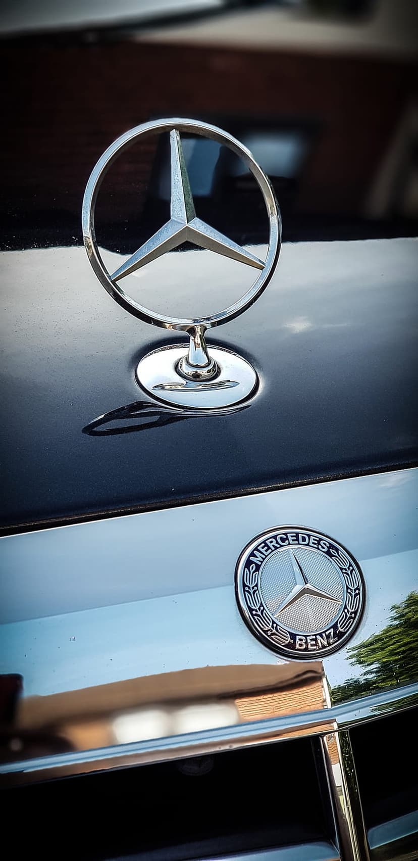 Mercedes-Benz three-pointed star hood ornament and circular emblem feature polished chrome with reflections.