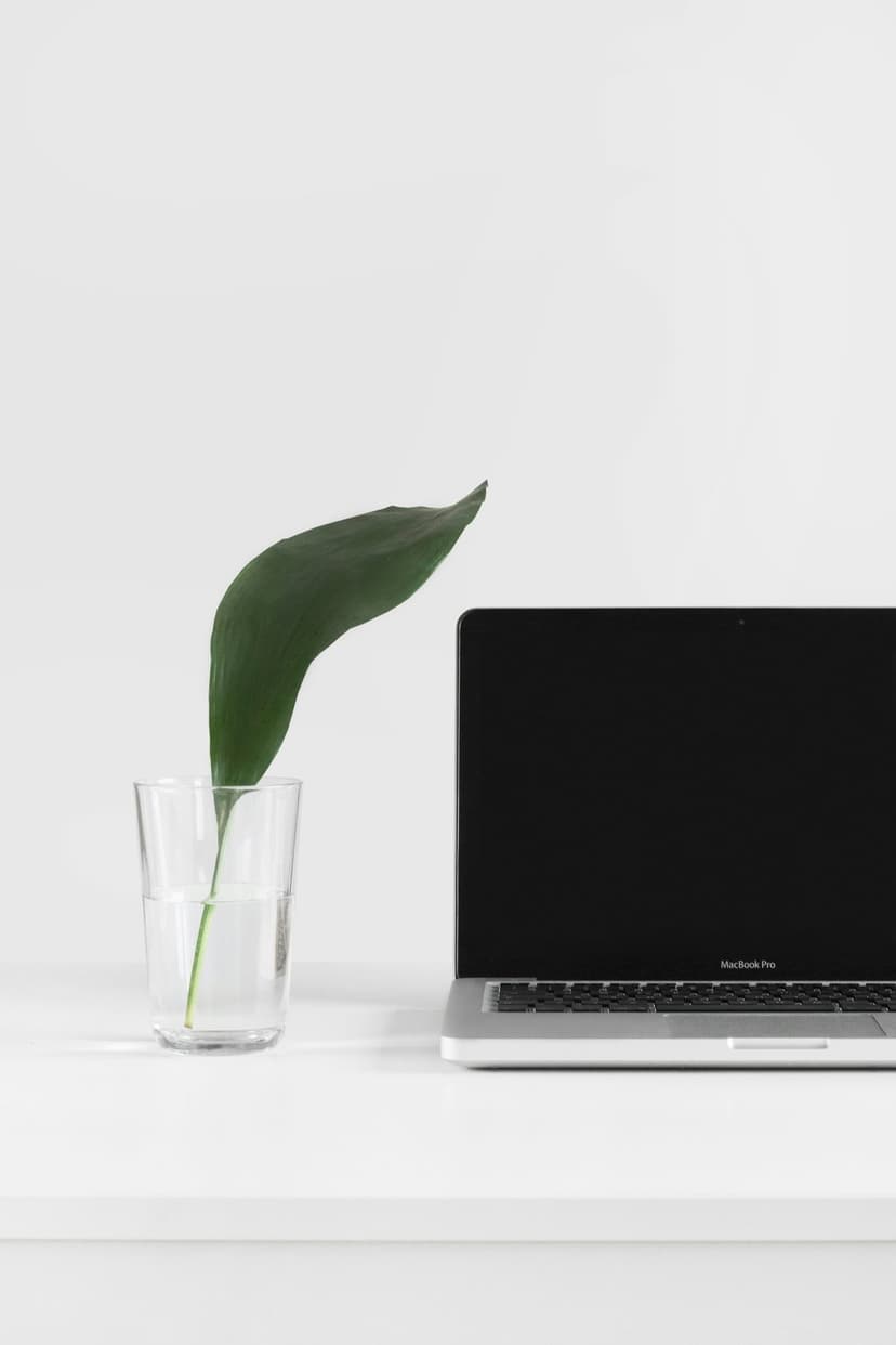 Slim laptop and a single green leaf inside a glass jar arranged on a bright, empty white desk in soft light.