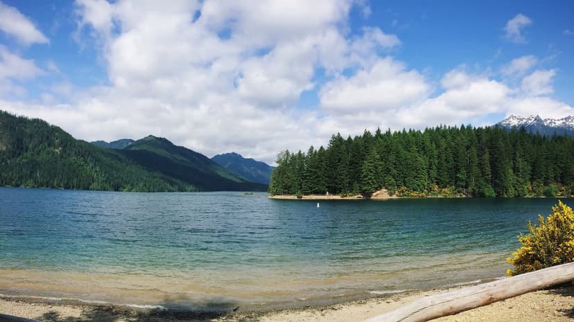Turquoise water of Lake Crescent meets a sandy shore with a weathered log beneath green mountain slopes.