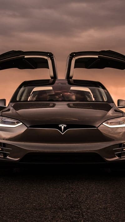 Tesla Model X Falcon Wing Doors Sunset