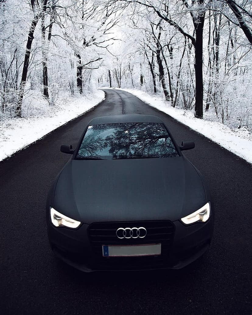 Black Audi car with glowing headlights drives along a snowy forest road between frosted pine trees at night.