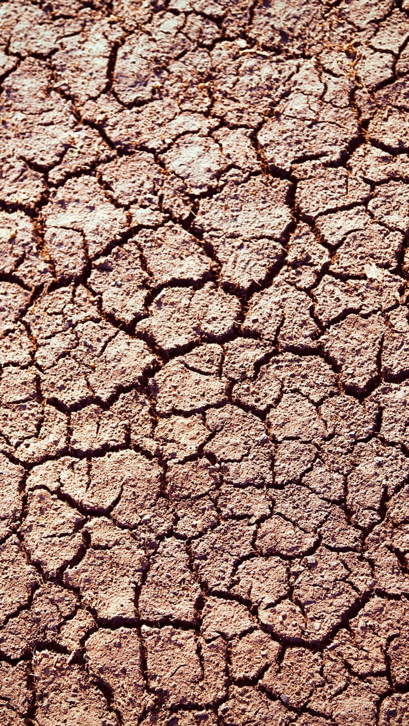 Deep fissures and geometric cracks in parched brown earth form a detailed, weathered soil surface pattern.