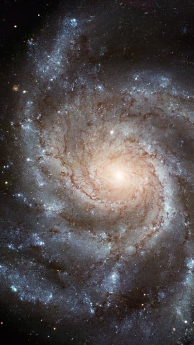 Hubble Captures Stunning Spiral Galaxy in Detailed View