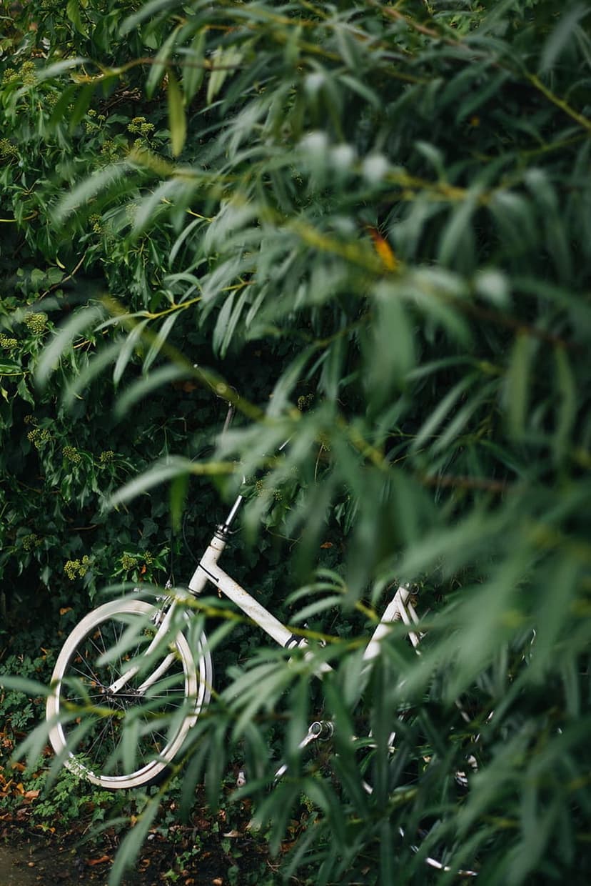 White vintage bicycle frame partially obscured by thick green garden leaves and soft-focus forest vegetation.