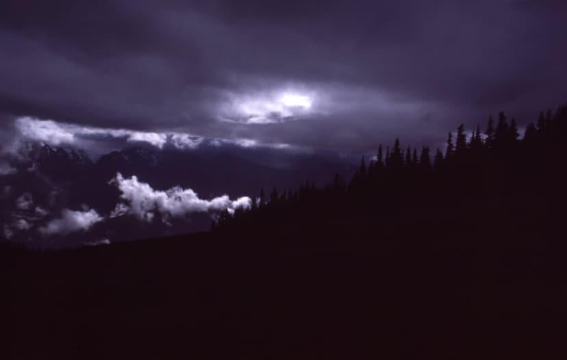 Silhouetted evergreen trees cling to a steep mountain slope under a dramatic sky with glowing moonlight and fog.