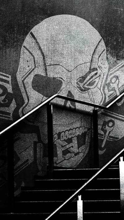 Skulled Steps - Grungy Tech