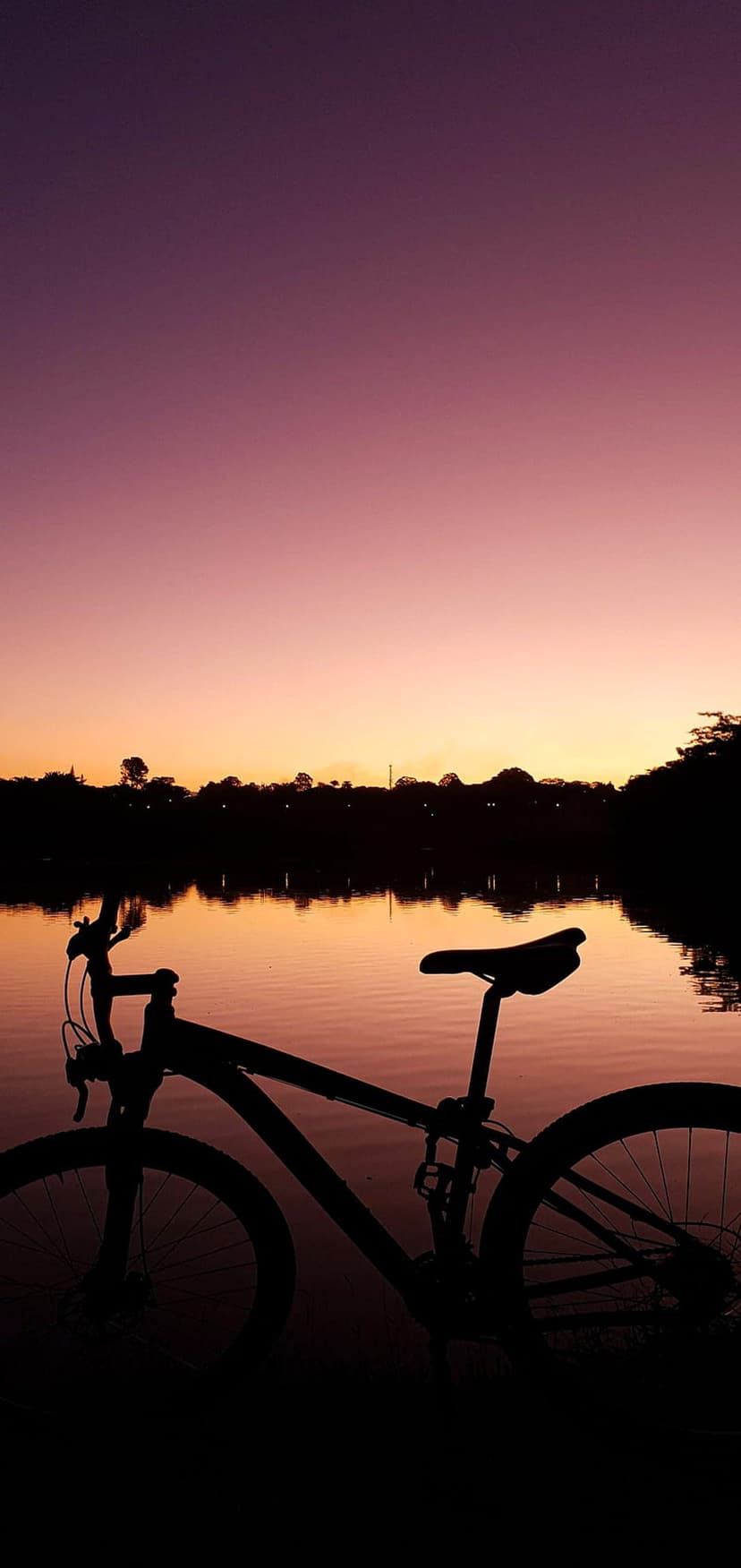 Bicycle silhouette parked by a reflective lake under a purple and orange sunset sky with distant trees.