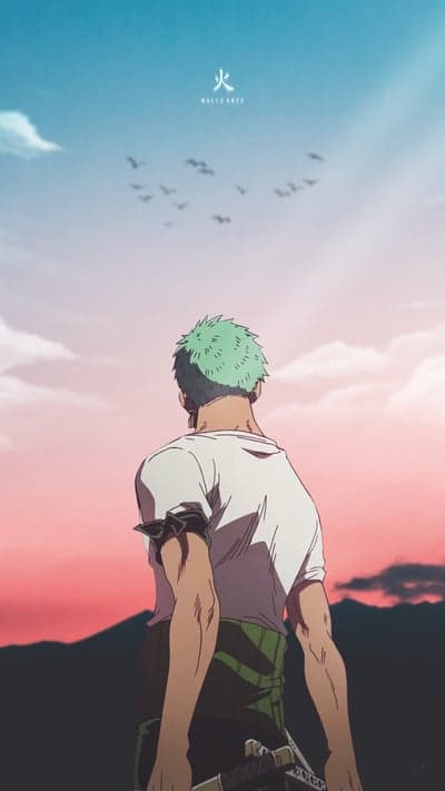 Roronoa Zoro anime wallpaper at sunset with birds