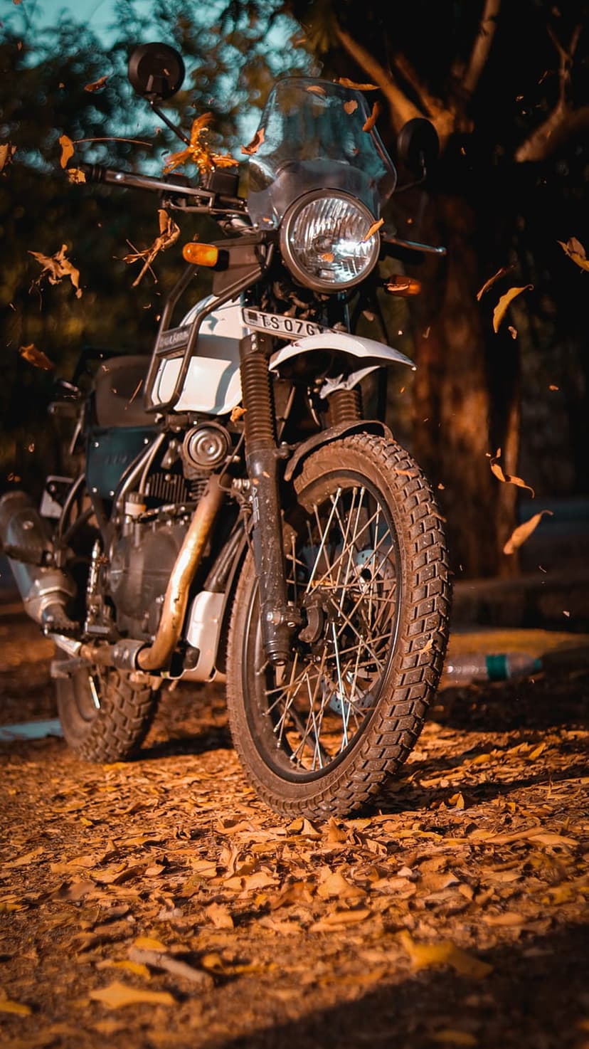 Classic motorcycle parked on fallen autumn leaves under warm golden hour sunlight with falling foliage.