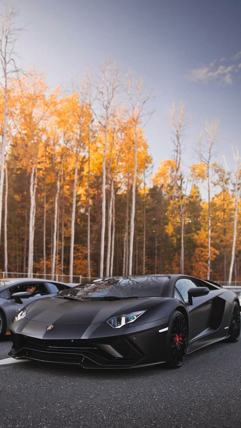 Matte black Lamborghini Aventador parked on asphalt surrounded by orange and yellow autumn trees under a blue sky.