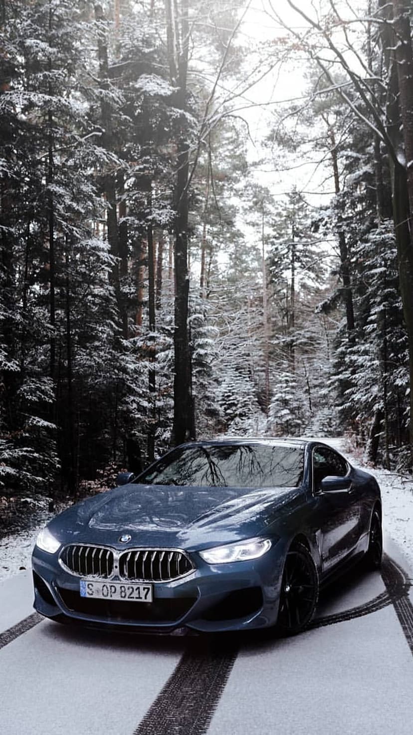 BMW 8 Series coupe with glowing headlights driving on a snowy road through a dense winter pine forest landscape.