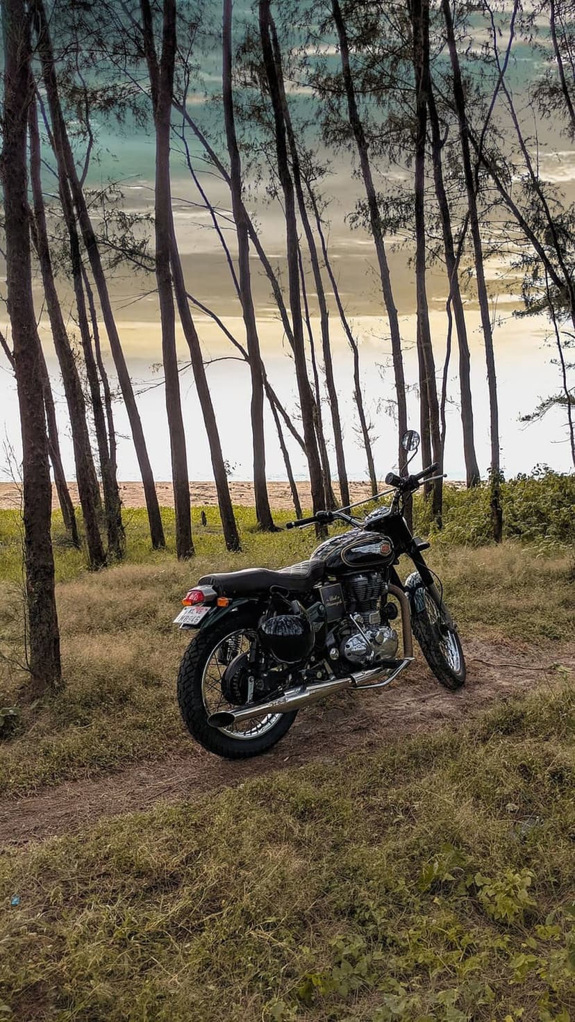 Black vintage motorcycle parked on a sandy path between tall pine trees overlooking a blue ocean under clear sky.