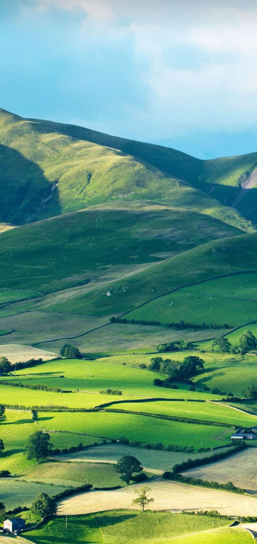 Rolling green hills divided by stone walls under a bright blue sky with wispy clouds in an aerial view.