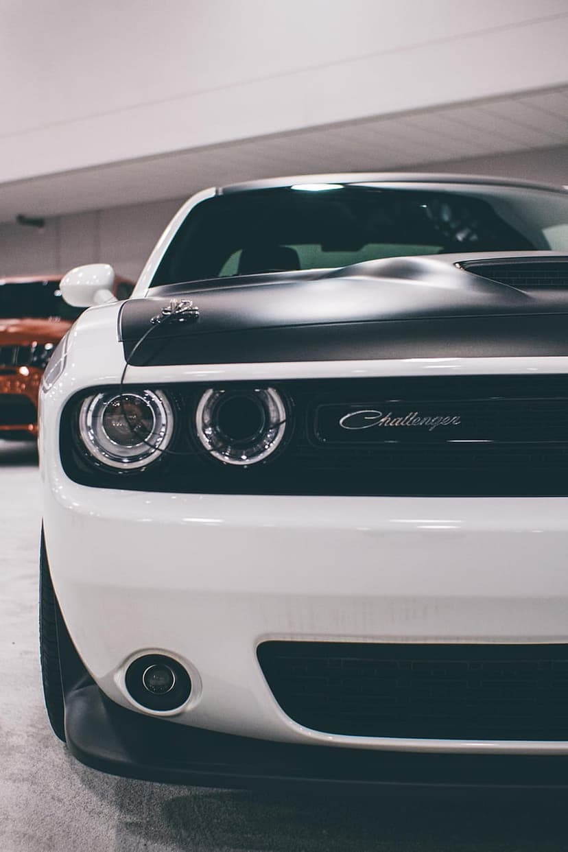 Dodge Challenger front end with white paint, dual round headlights, and a black grille badge at a low angle.