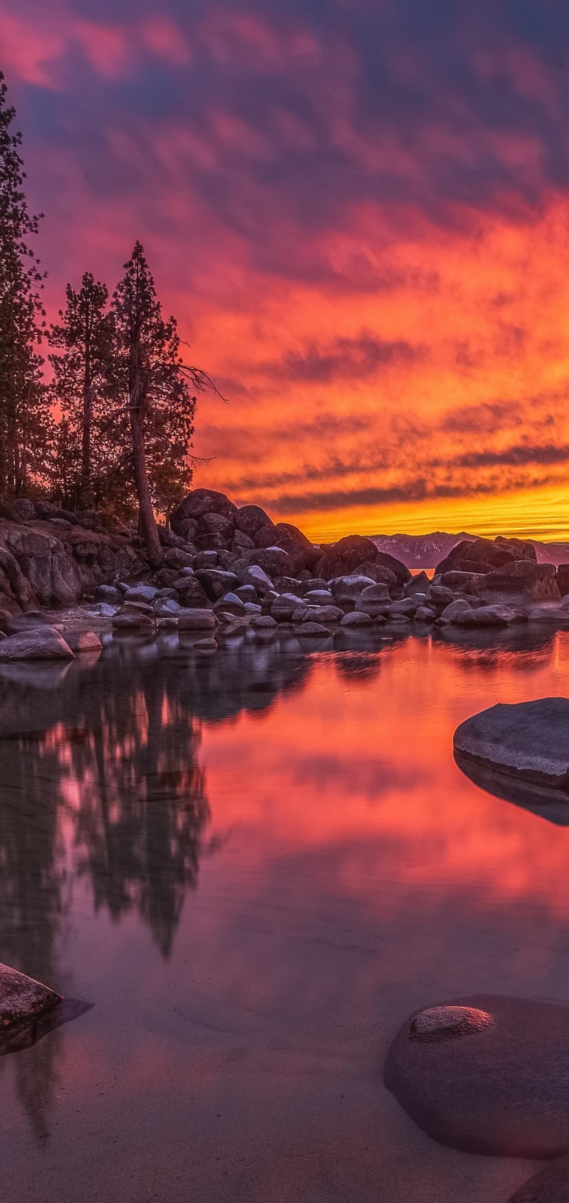 Jagged rocks sit in calm water reflecting a fiery orange and purple sunset sky framed by silhouetted pine trees.
