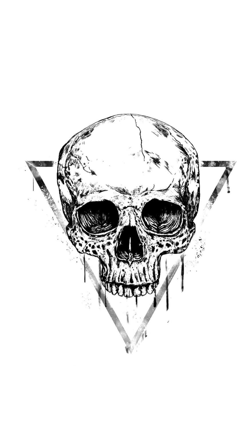 Anatomical skull with dripping ink centered over a large geometric triangle using a high-contrast ink style.
