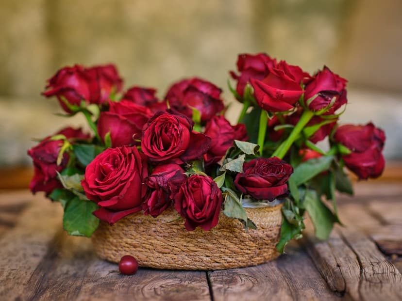 Red roses overflow from a twine-wrapped basket on a wooden table, showcasing vibrant petals and green leaves.