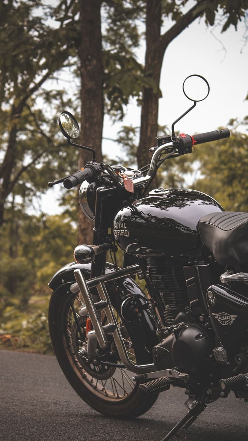 Black Royal Enfield motorcycle on an asphalt road surrounded by tall trees and lush green forest foliage.