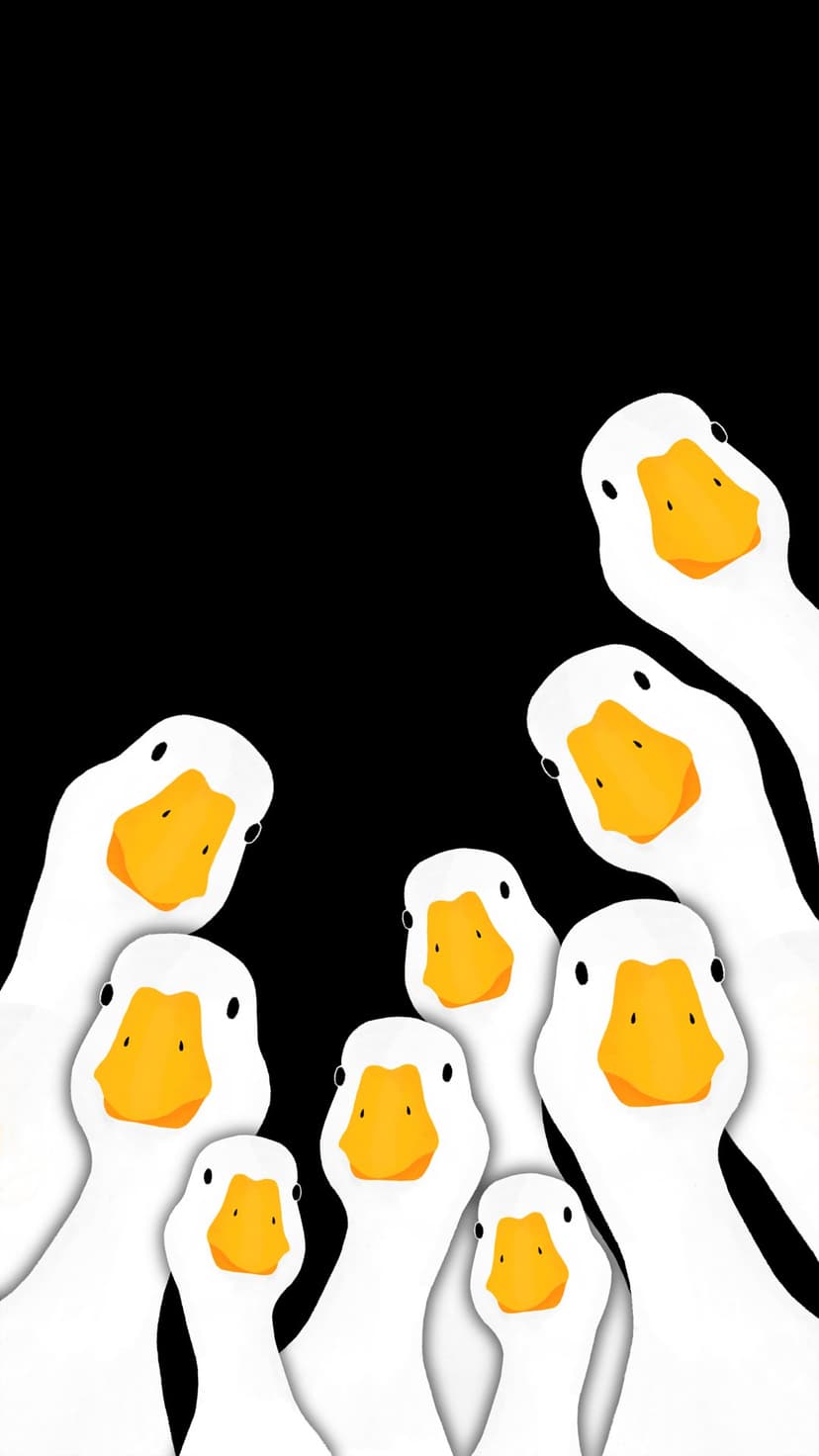 White geese with orange beaks peek from the bottom against a solid black background with curious expressions.
