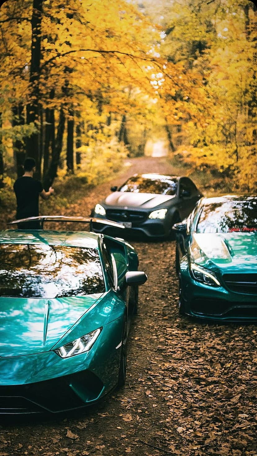 Teal Lamborghini and two dark sedans parked on a leaf-covered forest road surrounded by yellow autumn trees.