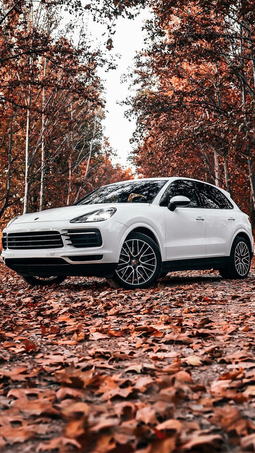 White Porsche Cayenne SUV parked on a thick carpet of orange fallen leaves in a dense autumnal forest setting.