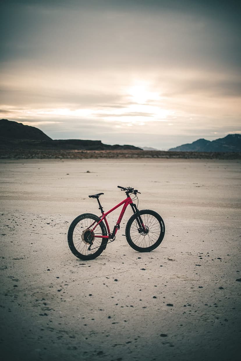 Red mountain bike standing on a dusty desert floor with silhouetted hills under a hazy, overcast sky.