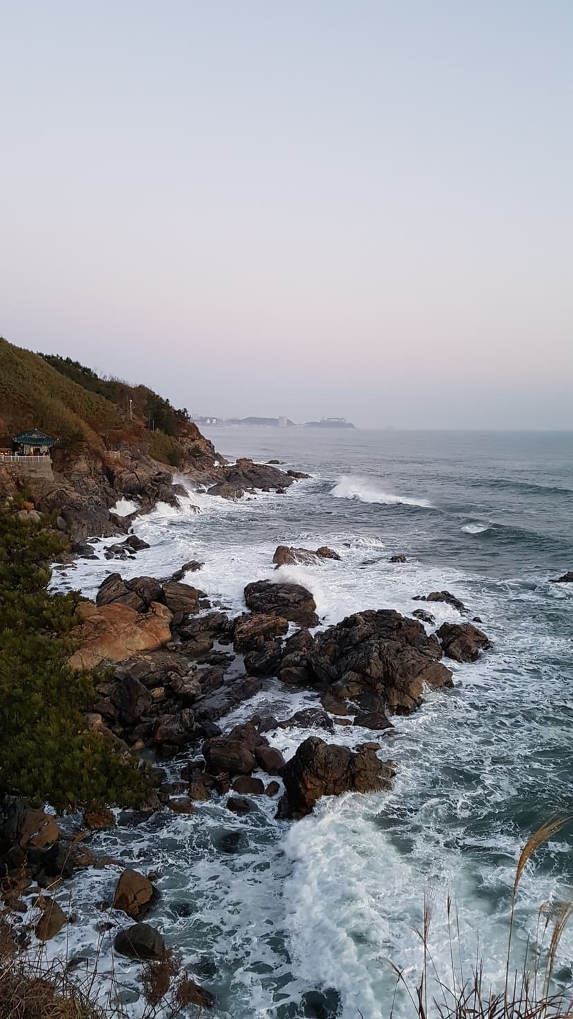 Dark jagged rocks endure crashing white waves along a misty green coastline under a soft twilight sky at dusk.