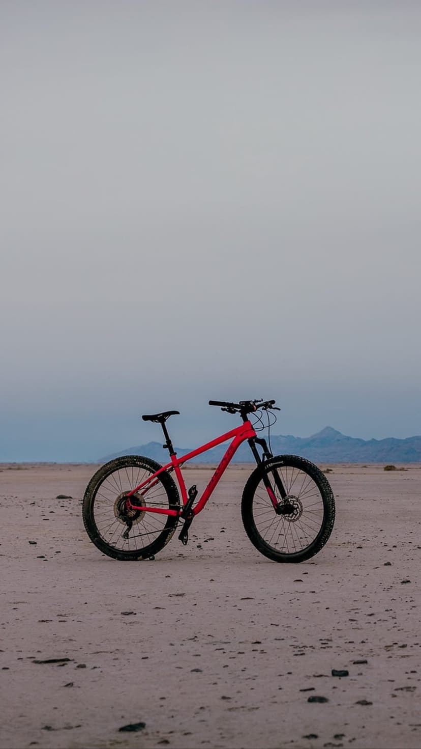 Red mountain bike stands centrally on a sandy desert plain with soft mountains under a cloudy, overcast sky.