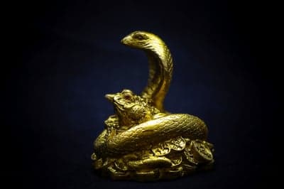 Golden Snake and Toad Statue with Coins