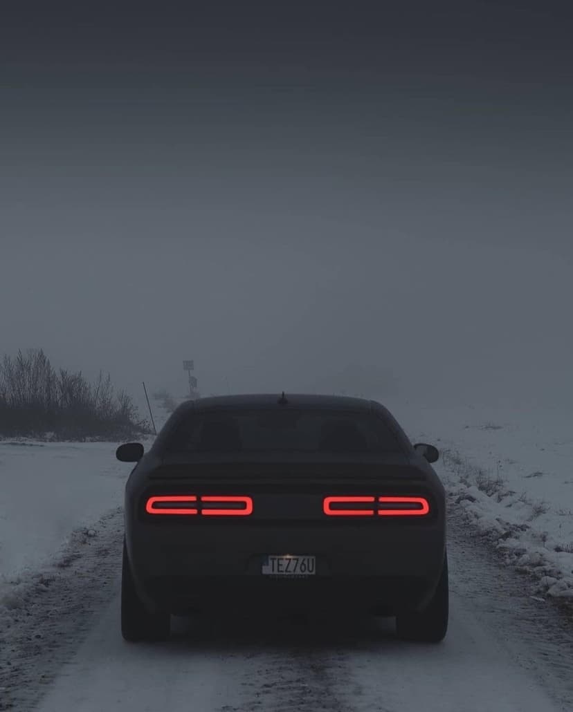 Black sports car rear view with glowing red LED taillights on a foggy, snow-covered road lined with bare trees.