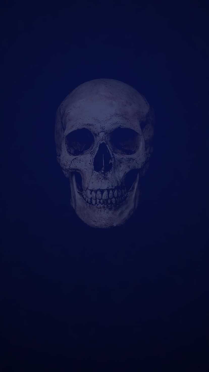 Human skull with detailed bone texture and deep eye sockets centered against a dark blue gradient background.