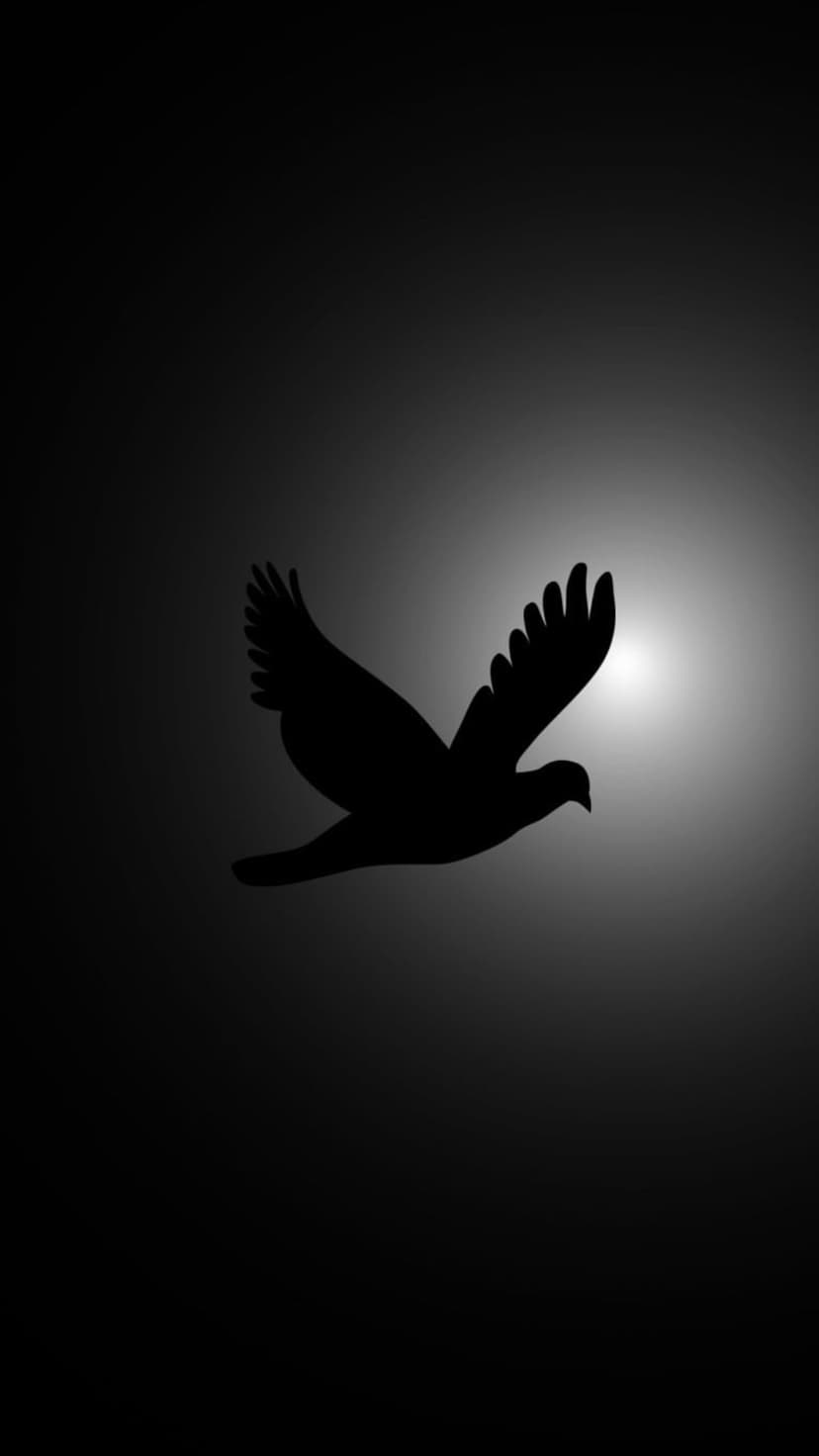 Black dove silhouette with wings spread wide against a brilliant circular light source on a vertical screen.