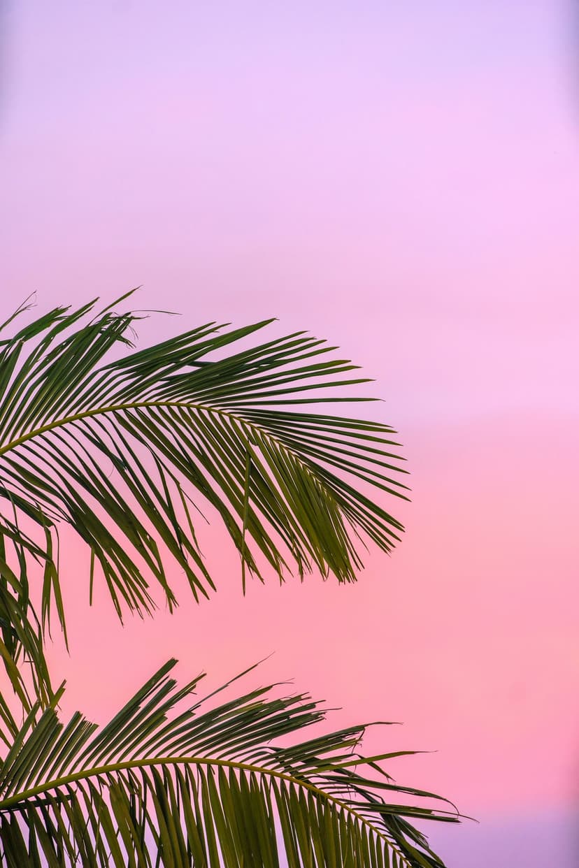 Palm fronds overlap against a vibrant pink and lavender gradient sky during a tropical twilight evening.