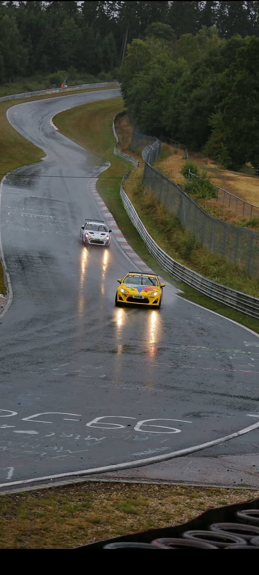 Yellow and white sports cars speed across a rain-drenched racing circuit bordered by lush green trees.