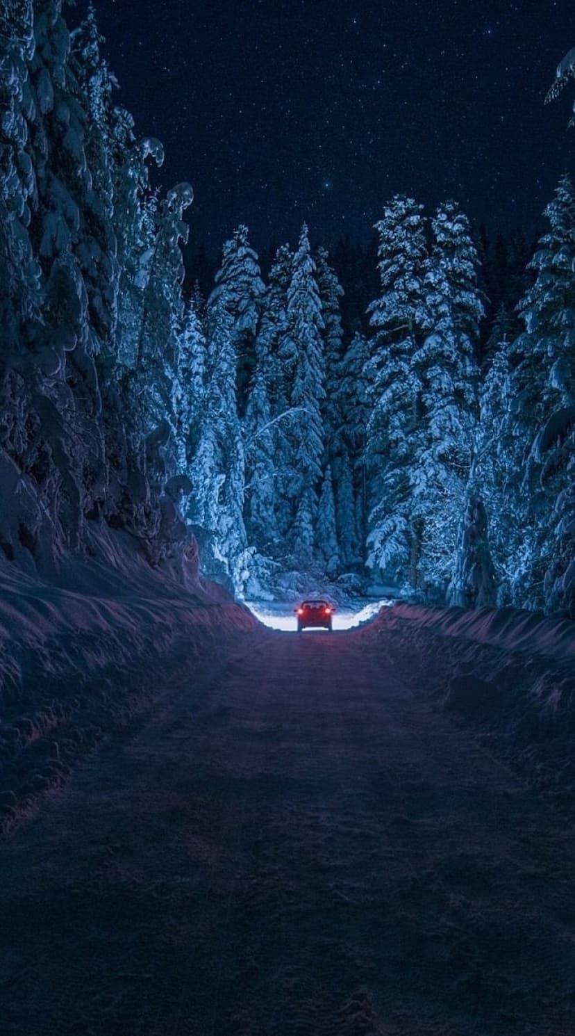 Red car driving on a snow-covered road through dark pine trees under a clear, star-filled night sky.