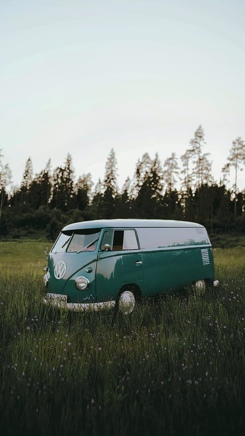 Green Volkswagen Kombi van parked in a tall grass meadow with wildflowers against a dense evergreen forest.