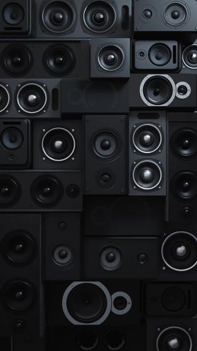 Diverse Array of Black Speaker Grills and Drivers