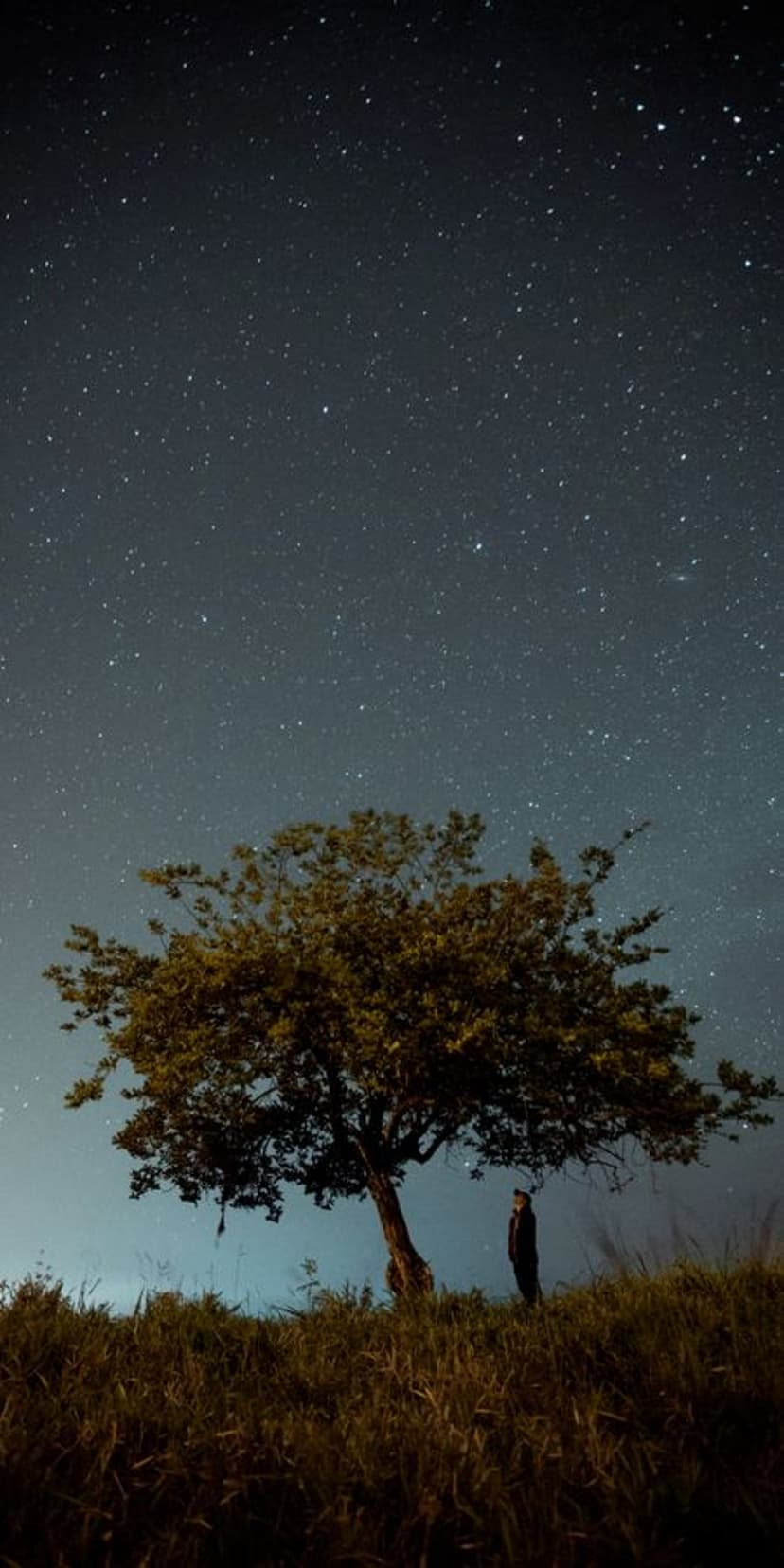 A person's silhouette stands beneath a large tree looking up at a dense field of stars in a dark night sky.