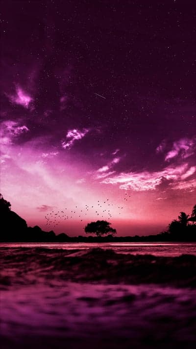 Twilight Sky Over Ocean with Birds and Stars